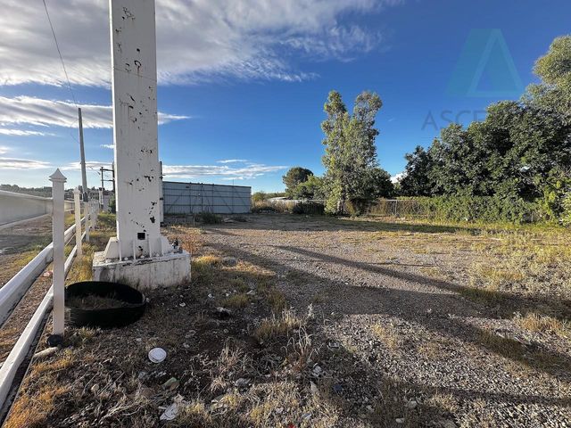 place photo 11