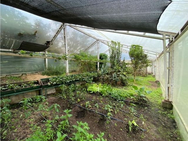 place photo 47