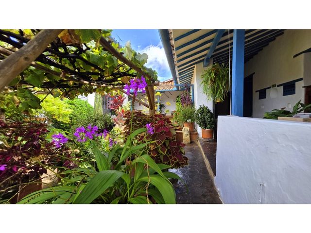 place photo 30