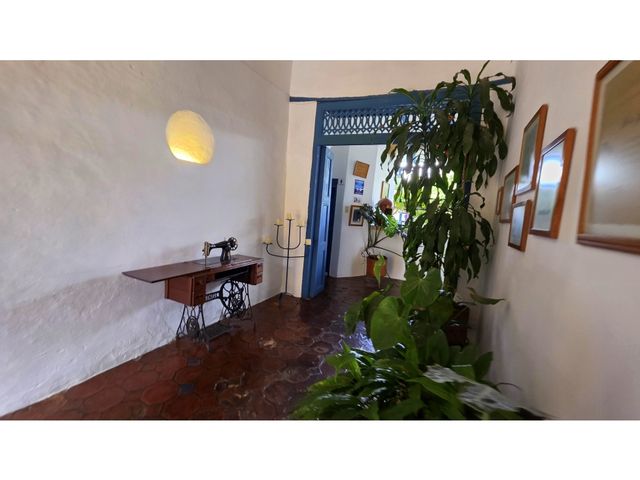 place photo 49