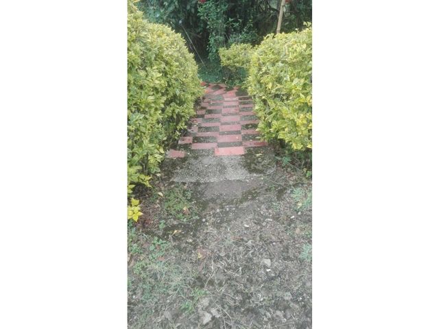 place photo 20