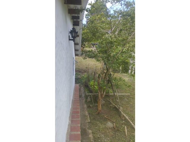 place photo 49