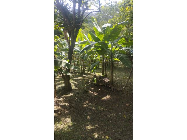 place photo 48