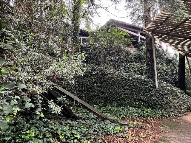place photo 45