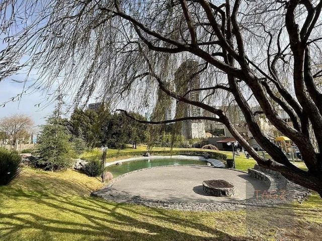 place photo 41