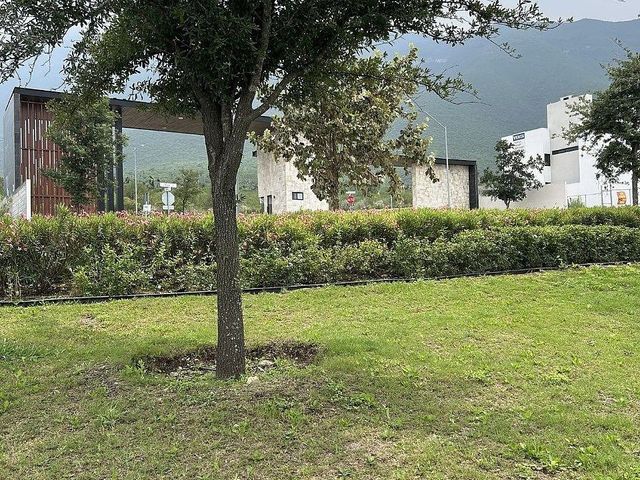 place photo 31