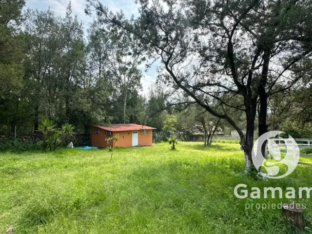 place photo 14