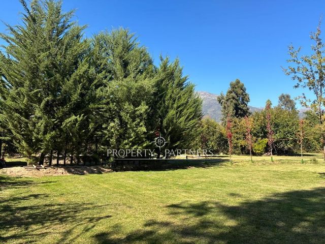 place photo 46