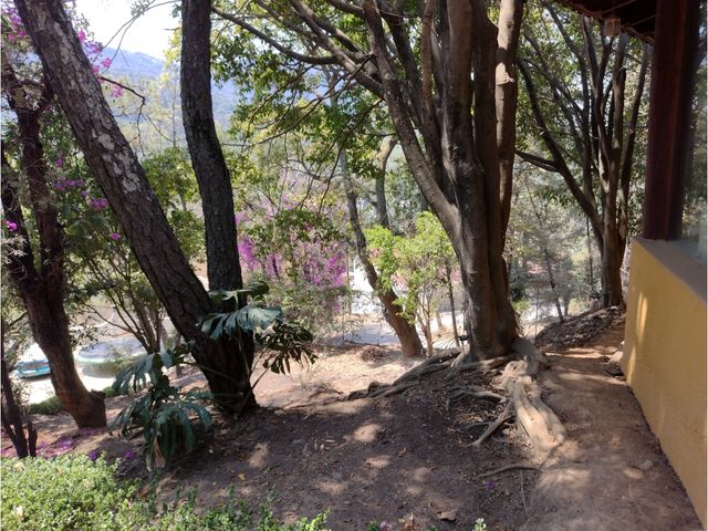 place photo 23