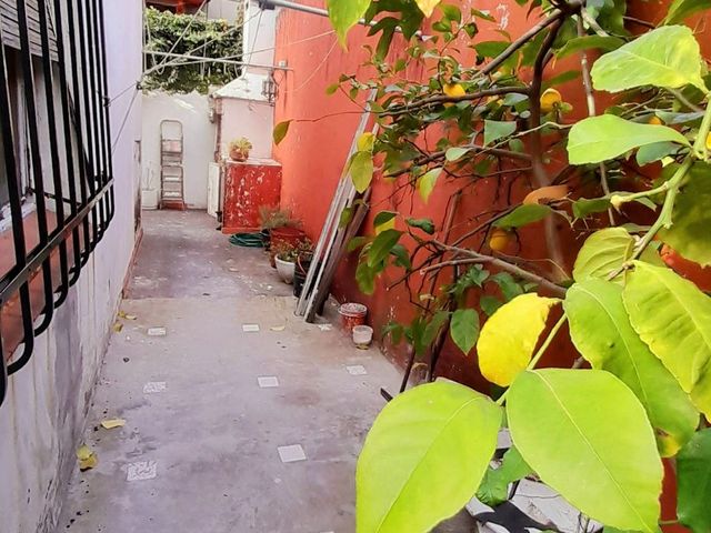 place photo 47