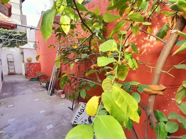 place photo 49