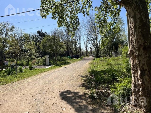 place photo 31