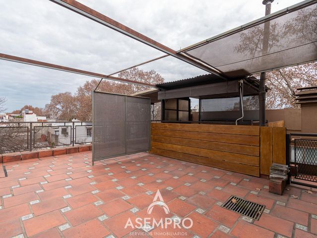 place photo 28