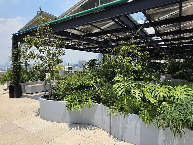 place photo 34