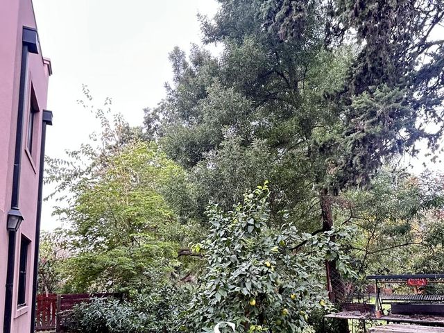 place photo 47