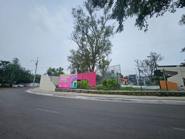 place photo 16