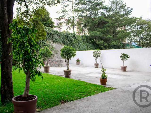 place photo 46