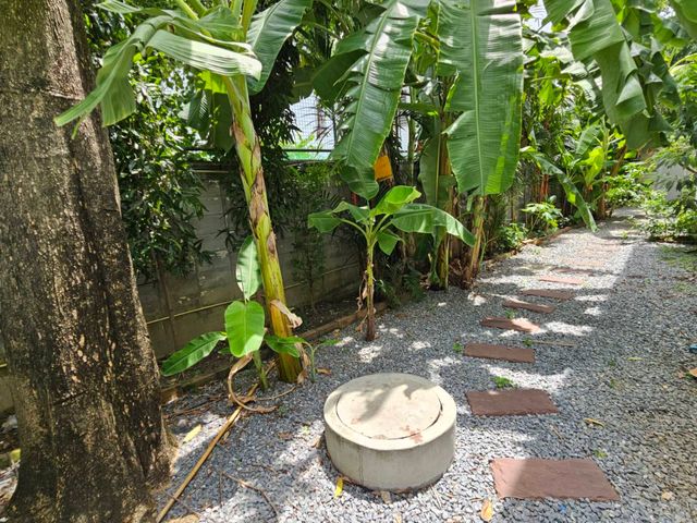 place photo 77
