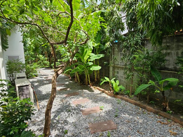 place photo 83