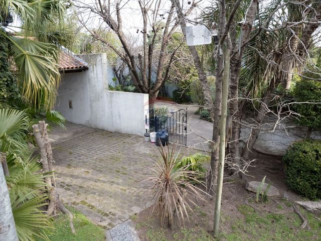 place photo 46