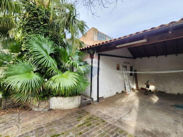 place photo 40