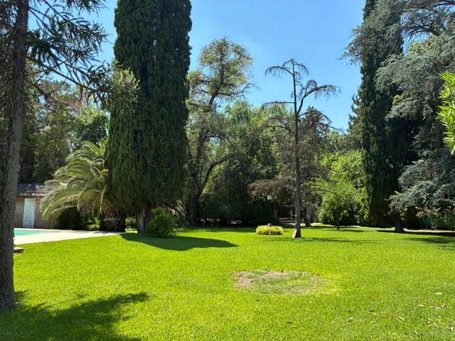 place photo 46