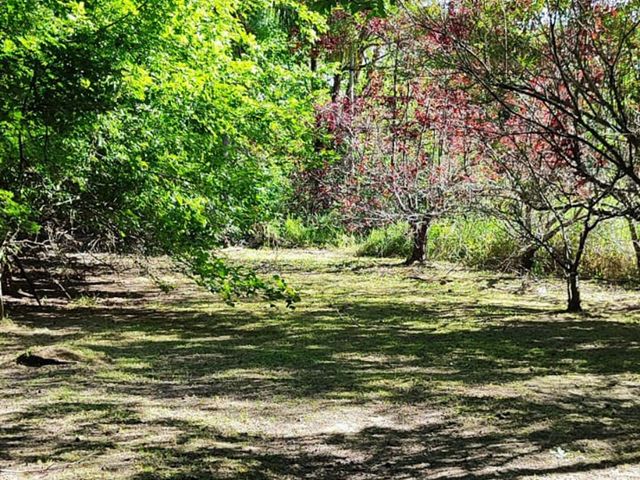 place photo 31