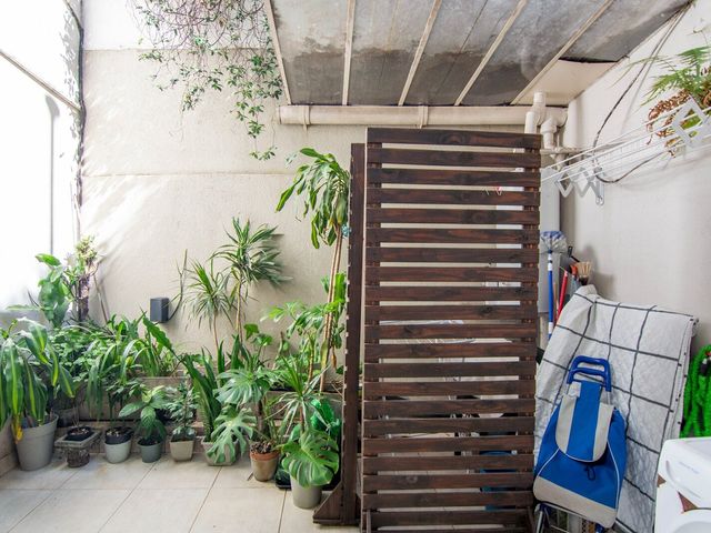 place photo 36