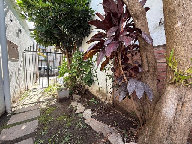 place photo 47