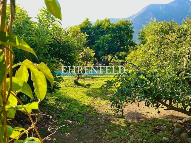 place photo 41