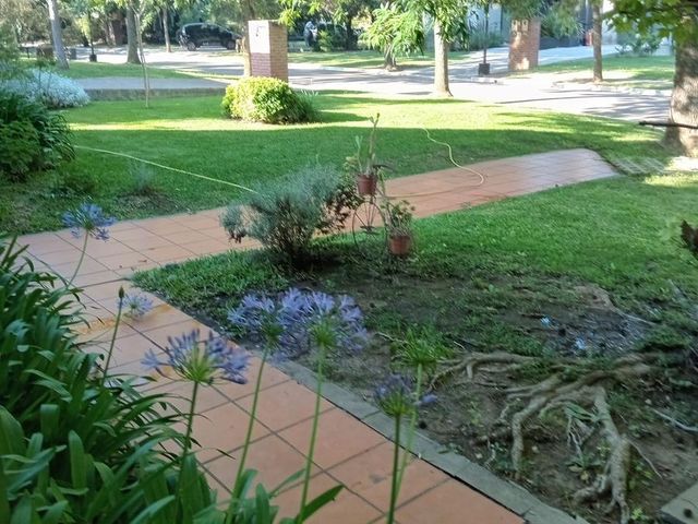 place photo 25