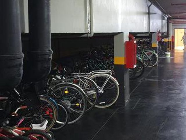 place photo 43