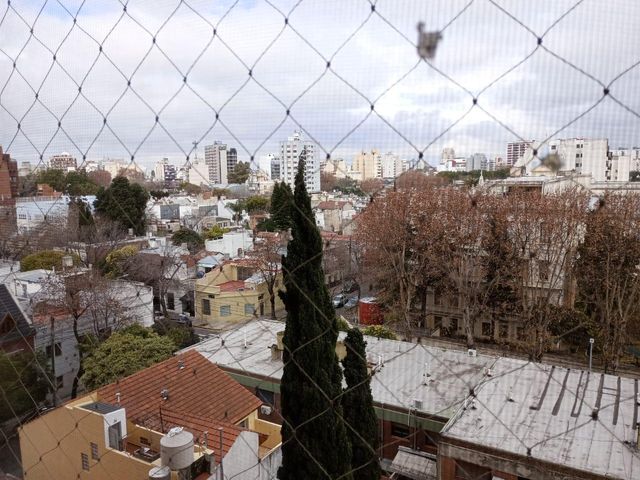 place photo 27