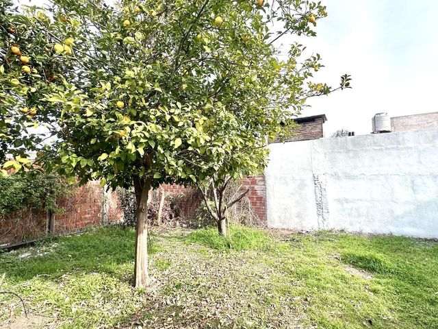 place photo 31
