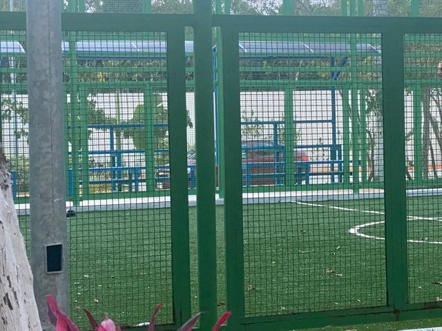 place photo 14