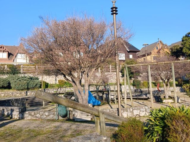place photo 22