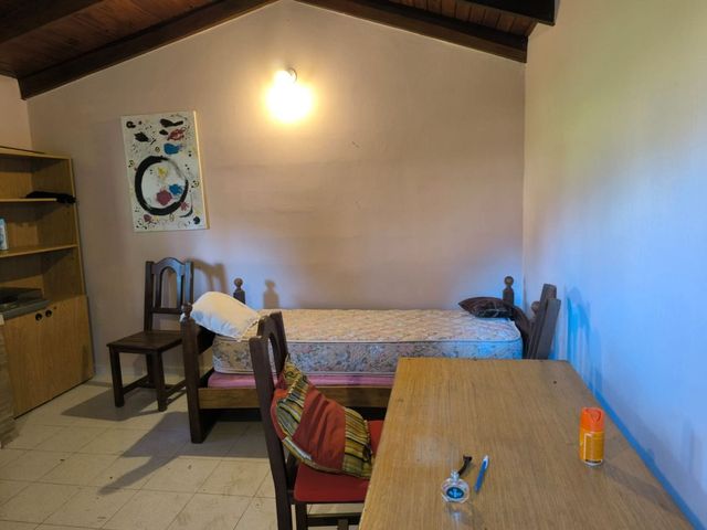 place photo 46