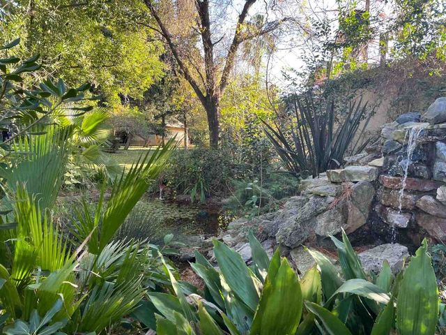 place photo 52