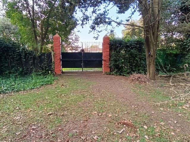 place photo 35