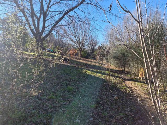 place photo 37