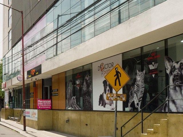 place photo 12