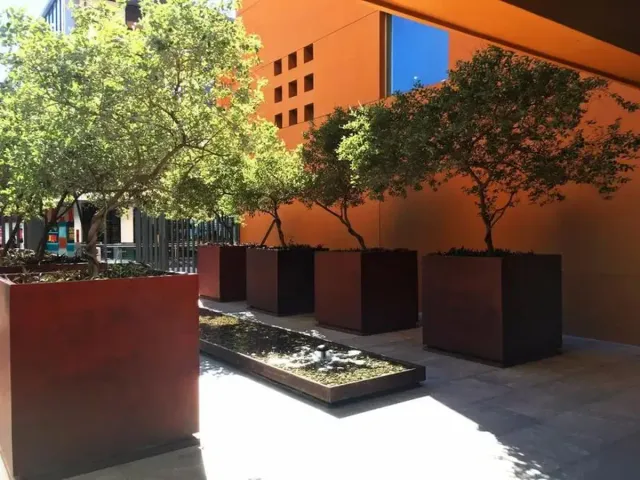 place photo 19
