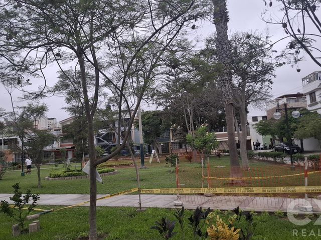 place photo 23