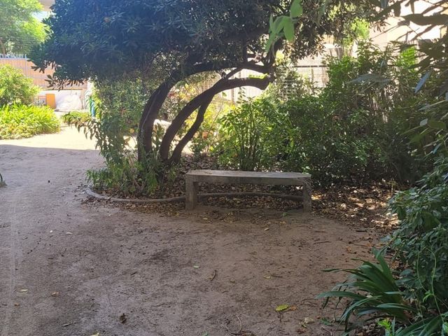 place photo 26