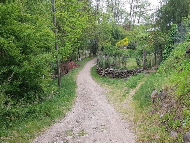 place photo 30
