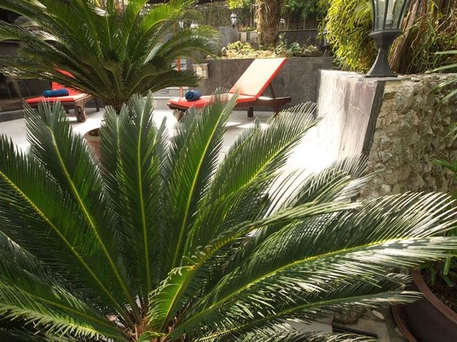 place photo 36