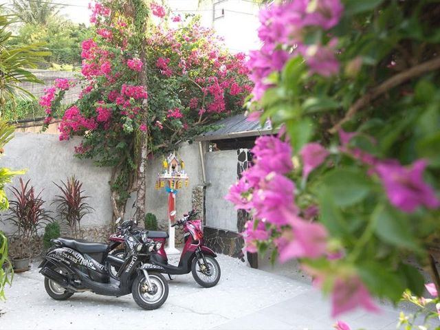 place photo 29