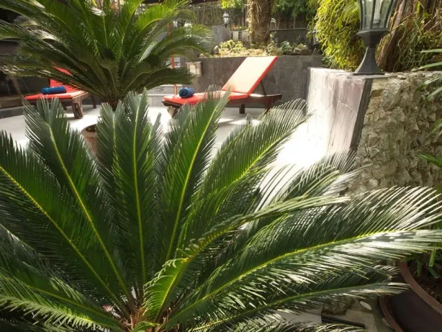 place photo 37