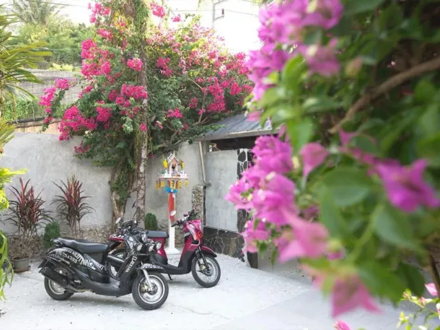 place photo 29