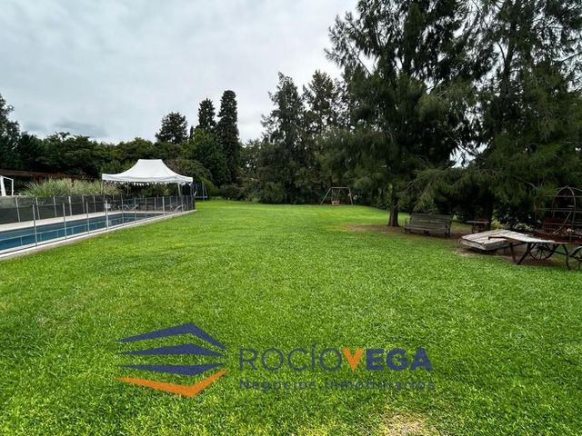place photo 36